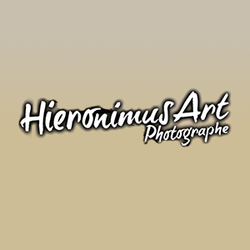 Logo Hieronimus Art