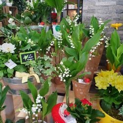 Logo Conter Fleurette